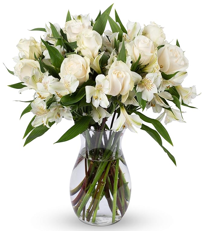 Benchmark Bouquets - Elegance Roses & Alstroemeria (Glass Vase Included) - Fresh Flowers for Delivery - Gift for Graduation, Birthday, Anniversary, Sympathy, Get Well, Congratulations