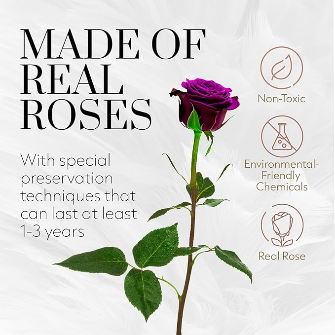 GLAMOUR BOUTIQUE Eternal Preserved Roses in a Box - Flowers Forever, Rose Forever in a Box for Wife, Birthday Gifts for Her, Single Rose, Purple