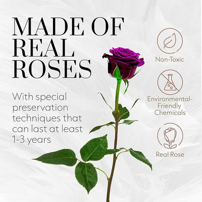 GLAMOUR BOUTIQUE Eternal Preserved Roses in a Box - Flowers Forever, Rose Forever in a Box for Wife, Birthday Gifts for Her, Single Rose, Purple