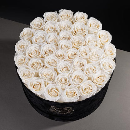40 Pieces Preserved Roses in Suede Box, Flowers for Mothers Day, Preserved Flowers Gift for Women, White