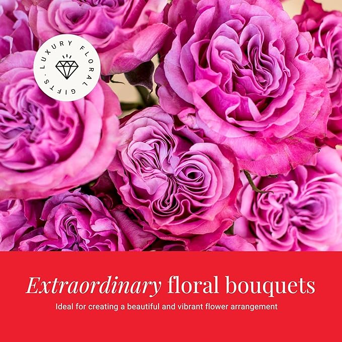 BloomsyBox - Lavender Roses - 24 Long Stems, Long Lasting, Hand-Tied in Eco-friendly, Vase Not Included, Fresh Flowers for Delivery – Gift for Birthday, Anniversary, Congratulations, Wedding