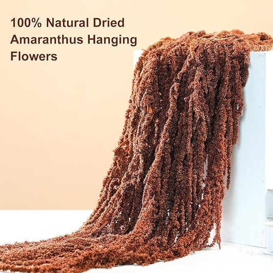5Pcs Dried Amaranthus Hanging Flowers, 23" Brown Preserved Natural Wisteria for Wedding Arch, Fall Thanksgiving, Table Centerpiece, Wall Hanging Lover Tears, Floral Arrangement, Farmhouse Decor