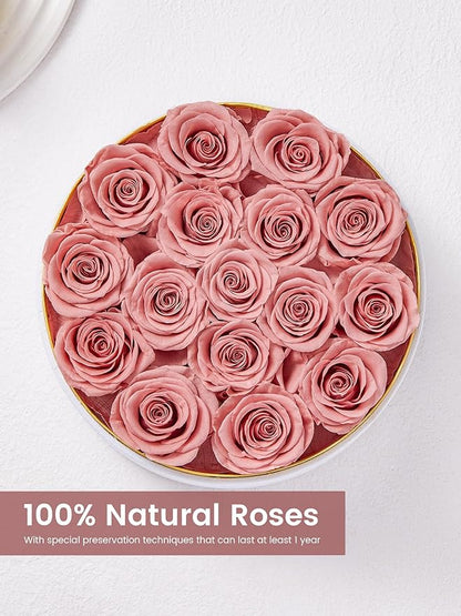 Preserved Roses Forever Flowers Real Roses in a Box Mother's Day Birthday Flowers for Her Mom Women Wife Valentine's Day, 16 Dusty Pink Roses