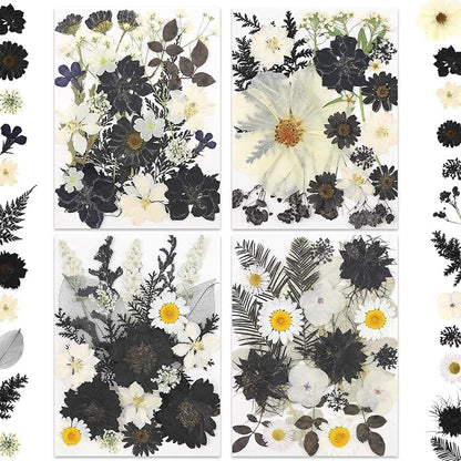 90P Black & White Dried Flowers for Crafts, Real Natural Pressed Flowers in Halloween-Style Tones for Resin Art, DIY Crafts, Jewelry & Candle Decor – Tweezers Included