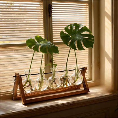 Plant Propagation Station, Propagation Vases for Plants, Unique Gardening Birthday Gifts for Women Plant Lovers Mom Best Friend - 5 Bulb Glass Vases