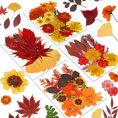 Augshy Fall Dried Pressed Flowers Orange Pressed Fall Leaves for Crafts Resin Molds Real Red Brown Yellow Pressed Leaves for Scrapbooking, Epoxy Resin Supplies