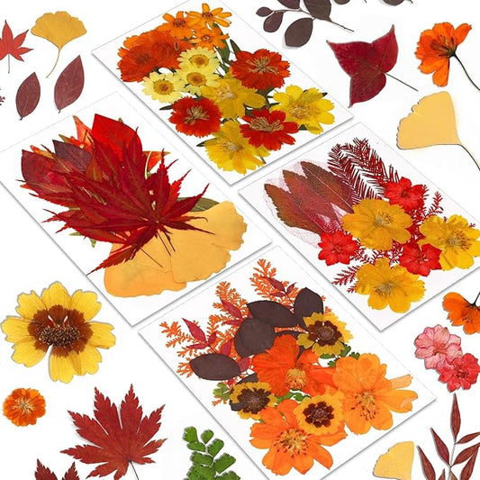 Augshy Fall Dried Pressed Flowers Orange Pressed Fall Leaves for Crafts Resin Molds Real Red Brown Yellow Pressed Leaves for Scrapbooking, Epoxy Resin Supplies