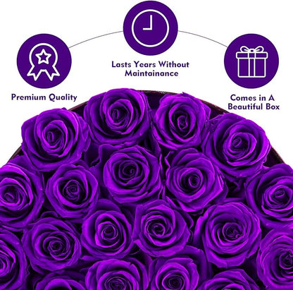 Forever Flowers, 27 Roses in A Box, Real Preserved Roses, Birthday Gift for Women, Mother's Day, Anniversary, Purple Rose