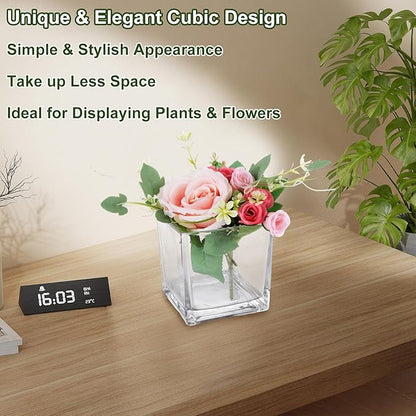 6 Pack 5 x 5 x 5 Inch Square Glass Vases, Clear Square Vases for Centerpiece, Cube Flower Vase for Candle Holder Events Wedding Party Home Decoration
