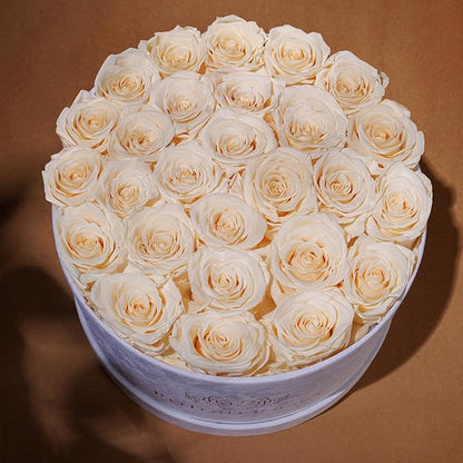 27 Flowers in a Luxury Suede Box, Birthday Gifts for Women, Preserved Flowers, Mothers Day Roses Gift for Mom, Champagne
