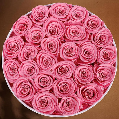 27 Flowers in a Luxury Suede Box, Birthday Gifts for Women, Preserved Flowers, Mothers Day Roses Gift for Mom, Light Pink
