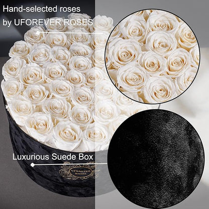40 Pieces Preserved Roses in Suede Box, Flowers for Mothers Day, Preserved Flowers Gift for Women, White
