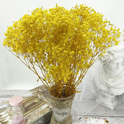 Preserved Baby's Breath, 100% Natrual Gypsophila Long Lasting Flowers for Vase Arrangements Home Decoration Photo Props Parties and Weddings, DIY Décor-Yellow