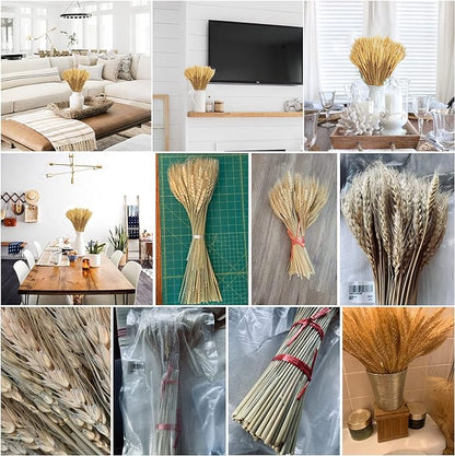 Uieke 17.7 Inches Dried Wheat Stalks, 200 Stems Dried Flowers 100% Natural Wheat for Home Kitchen Wedding Party Table Centerpiece Harvest Wreath Boho Farmhouse DIY Decoration