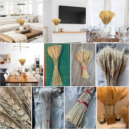 Uieke 17.7 Inches Dried Wheat Stalks, 400 Stems Dried Flowers 100% Natural Wheat for Home Kitchen Wedding Party Table Centerpiece Harvest Wreath Boho Farmhouse DIY Decoration