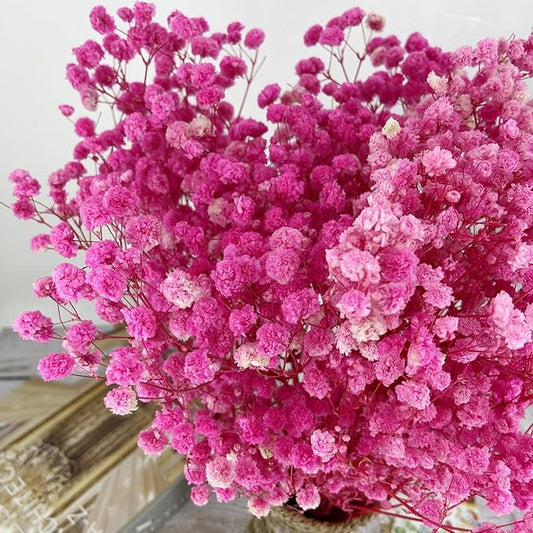 Birtlynn Preserved Baby's Breath, 100% Natrual Gypsophila Long Lasting Flowers for Vase Arrangements Home Decoration Photo Props Parties and Weddings, DIY Décor-Pink