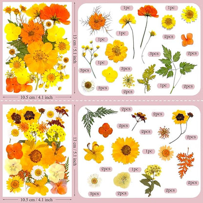 94 Pcs Yellow Pressed Dried Flowers for Resin, Real Natural Bulk Dry Wildflowers Leaves Perfect for Epoxy Molds, DIY Crafts, Home Decor, Soap Candles Jewelry Making