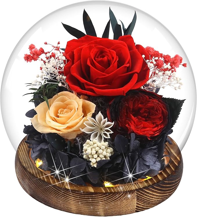 Birthday Gifts for Women Preserved Red Real Rose Flowers in Glass Dome, Forever Rose Gift for her Mom Wife Girlfriend on Christmas Birthday Anniversary