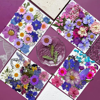 91Pcs Purple Pressed Dried Flowers for Resin Molds, Assorted Real Natural Bulk Dry Floral Leaves for DIY Art Crafts, Epoxy Jewelry, Candle, Soap Making, Nails Decors Gifts
