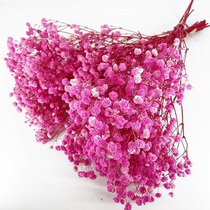 Birtlynn Preserved Baby's Breath, 100% Natrual Gypsophila Long Lasting Flowers for Vase Arrangements Home Decoration Photo Props Parties and Weddings, DIY Décor-Pink