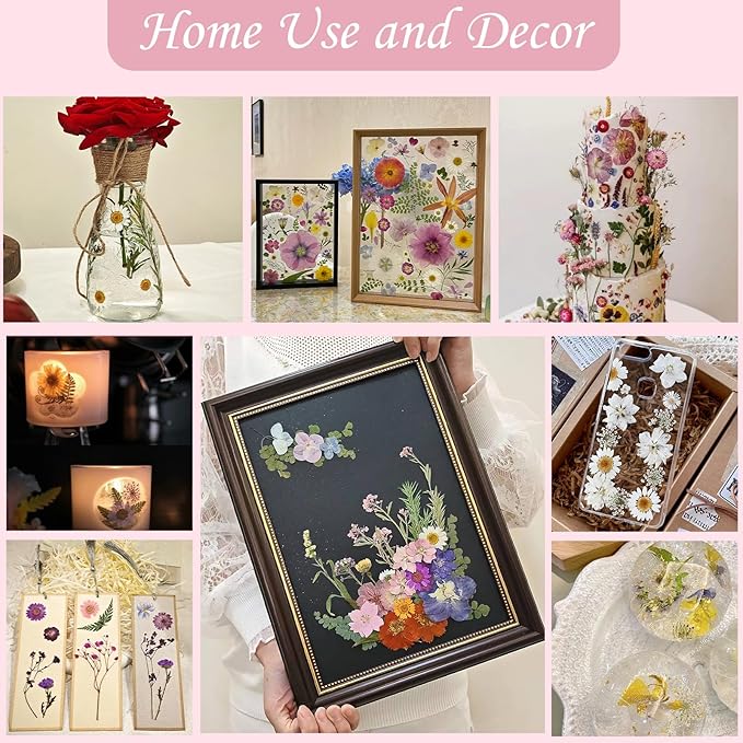 80 Pcs Dried Pressed Flowers for Crafts, Natural with Vibrant Colors & Various Shapes, Exquisite Arrangement for Resin, DIY, Jewelry, Candle & Soap Making – Tweezers Included