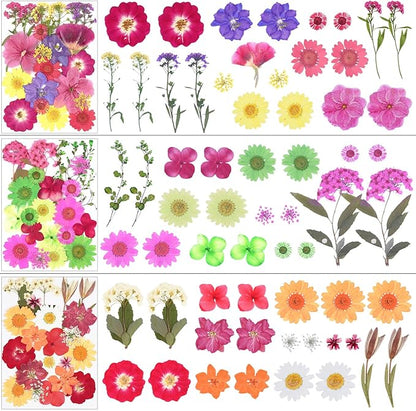 190Pcs Dried Pressed Flowers for Crafts,Xinxinran Dry Flower Kit for Resin Molds,Epoxy Resin Accessories,Bookmark,Nails, Jewelry Molds,Candle Making Supplies,Soap,Frame(Bright Color)