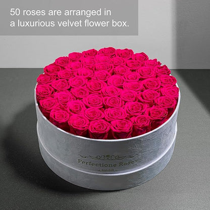 50 Piece Roses in a Velvet Box, Flowers for Delivery, Presereved Flowers Birthday Gifts for Women Mom and Wife (Radiant Pink)