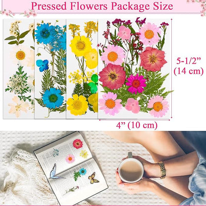 160Pcs Dried Pressed Flowers Butterflies for Resin Molds, Natural Real Dry Flower Leaves Bulk with 80Pcs Transparent Butterfly Stickers Tweezers for DIY Arts Crafts Scrapbooking Candle Making Supplies