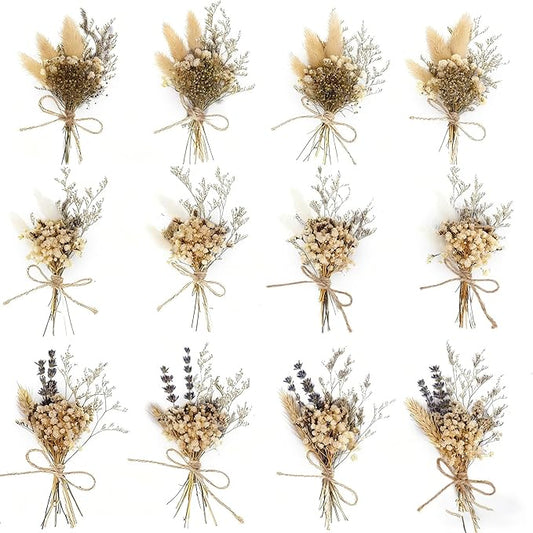 xin's convey Mini Flower Bouquet Set (12pcs), Cake Bouquet, Dried Flower Decoration, Shooting Prop, Envelope Decoration Dried Flower(Primary Colour)