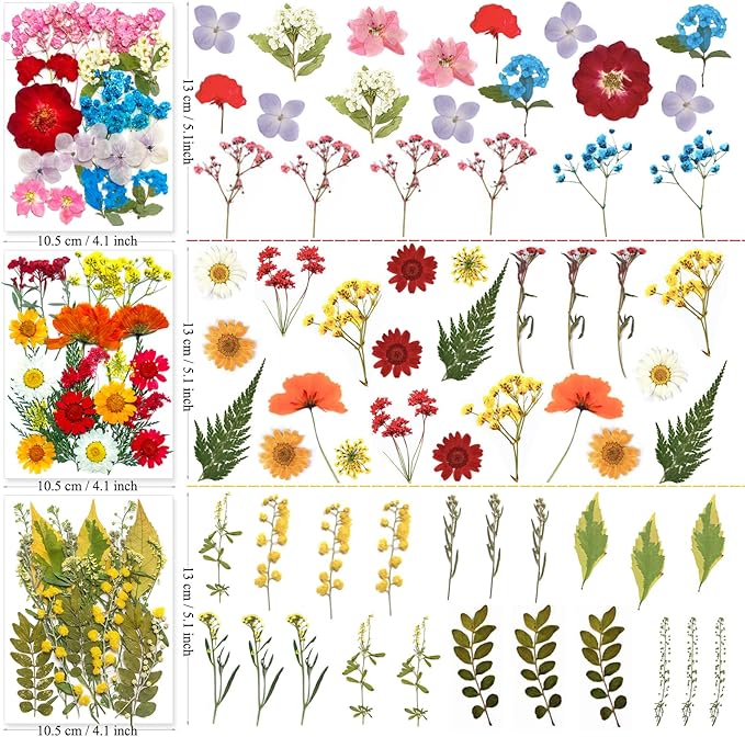 192Pcs Dried Pressed Flowers for Resin, Assorted Real Natural Bulk Dry Floral Leaves for DIY Art Crafts, Epoxy Molds, Jewelry, Soap, Candle Making, Nails Decors