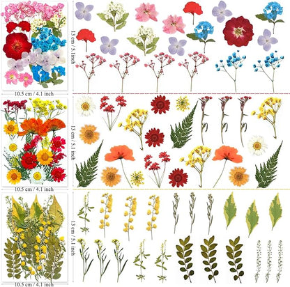 192Pcs Dried Pressed Flowers for Resin, Assorted Real Natural Bulk Dry Floral Leaves for DIY Art Crafts, Epoxy Molds, Jewelry, Soap, Candle Making, Nails Decors