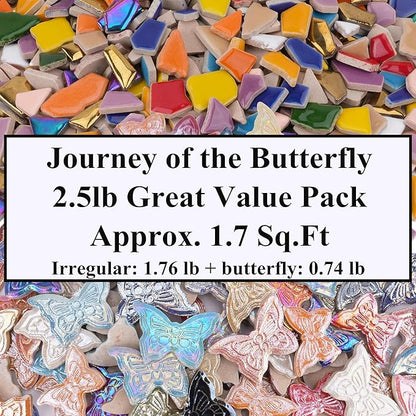 2.5 lb Irregular & Butterfly Mix Ceramic Mosaic Tiles for Crafts - (800g Irregular Tiles + 330g Butterfly Pieces), Assorted Ceramic Tiles for Mosaic Art, DIY & Home Decor