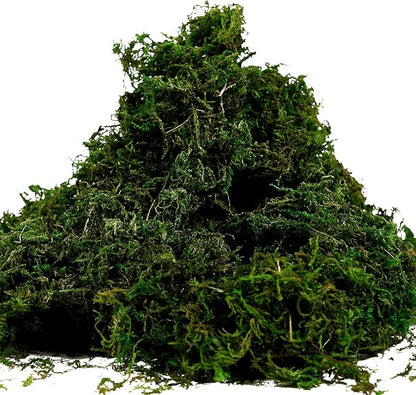 BYHER Artificial Moss Fake Green Grass for Centerpieces Home Kitchen Garden Decor (3.5OZ, Fresh)