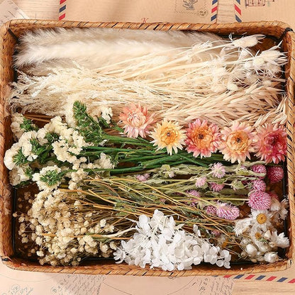10 Kinds of Dried Flowers for Crafts Green Series Natural Dried Flowers Dry Hydrangea Daisy Babys Breath with Stems Boho Wedding Flower Bouquets with Hemp DIY Floral Arrangement Rope for Home Decor
