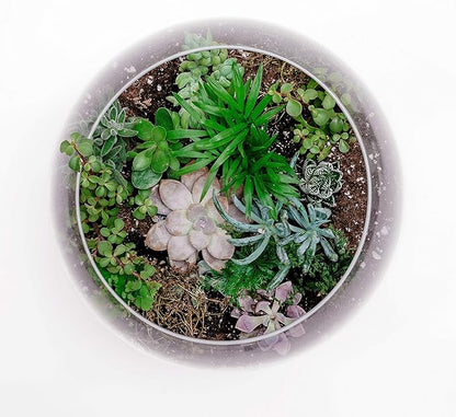 WGV Large Bowl Glass Vase, Diameter 16", Height 14", (Multiple Sizes Choices) Clear Huge Round Bubble Vase Jar, Floral Planter Terrarium for Wedding Event Home Decor, 1 Piece (VBW1614)