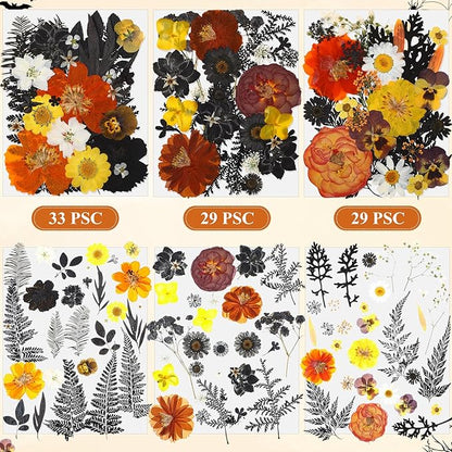 Nuanchu 167 Pcs Real Dried Pressed Flowers Natural Dried Flowers Colorful Daisy Mixed Wildflowers Leave for DIY Candle Resin Nails Jewelry Pendant Crafts Floral Art(Multicolor,Scary Style)