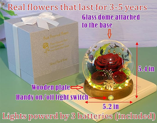 Valley of Rain & Forest Long-Lasting Real Flowers, Unique Floral Gift for You to Send Love for All Occasions, for Indoor Decoration (Dark Red Rose Arrangement)