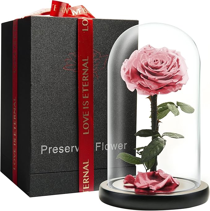 Forever Preserved Rose - Eternal Rose in Glass Dome - Beauty and The Beast Rose for Mom - Fresh Flowers for Delivery Prime (Pink, 9 Inch)
