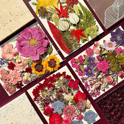 85Pcs Dried Pressed Flowers for Resin Molds, Real Natural Bulk Dry Floral Leave for DIY Art Crafts, Epoxy Jewelry, Candle, Soap Making, Nails Decors Gifts