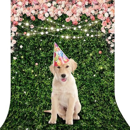 Riyidecor Flower Wall Backdrop Polyester Fabric Pink Rose Floral Blossom Green Leaves Plant Spring Nature Birthday 5Wx7H Feet Women Girls Photography Background Wedding Photo Studio Shoot