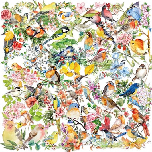 50PCS Watercolor Bird & Flower Stickers, PET Transparent Waterproof Decals for Scrapbooking, Journal Planners, Phone Cases, Laptops, DIY Crafts Decorations - Nature Theme Art Supplies
