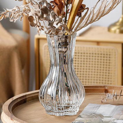 10" Decorative Modern Flower Vase for Floral Arrangements, Large Elegant Clear Glass Vase for Bouquet(Transparent) (Clear, 01)