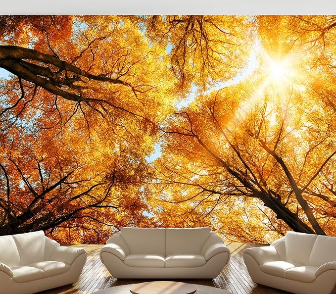 Cliouar-Warm Autumn Sun Shines Through The Golden Crowns of Tall Beech Trees Peel and Stick 90" x 67"