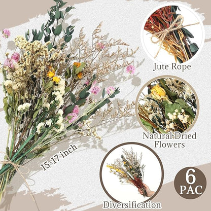 6 Pack Boho Dried Flowers Bouquet Large Size 15-17 Inch Wedding Handmade Dry Flowers Bundles for Vase Craft DIY Photo Boutonniere for Floral Plant for Bridesmaid Gift Birthday Decor (Classic)
