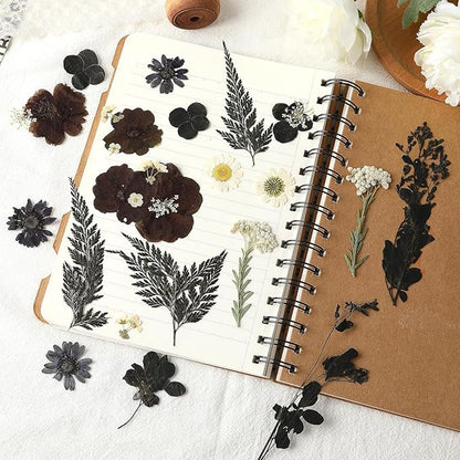 Augshy Black Dried Pressed Flowers, 120 Pcs Halloween Dried Flowers for Resin Molds Real Pressed Flowers for Crafts DIY Jewelry Molds, Scrapbooking, Candle, Soap Making