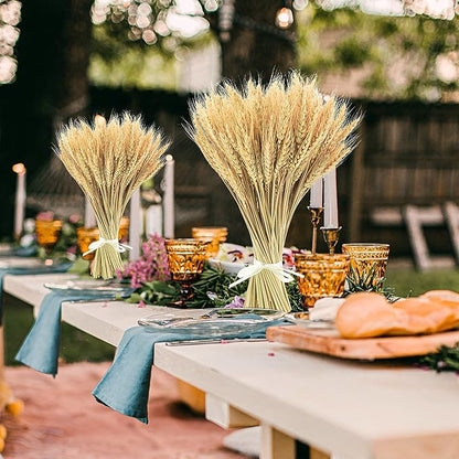 Uieke 17.7 Inches Dried Wheat Stalks, 200 Stems Dried Flowers 100% Natural Wheat for Home Kitchen Wedding Party Table Centerpiece Harvest Wreath Boho Farmhouse DIY Decoration