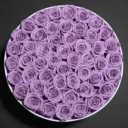 50 Piece Roses in a Velvet Box, Flowers for Delivery, Presereved Flowers Birthday Gifts for Women Mom and Wife (Lavender)