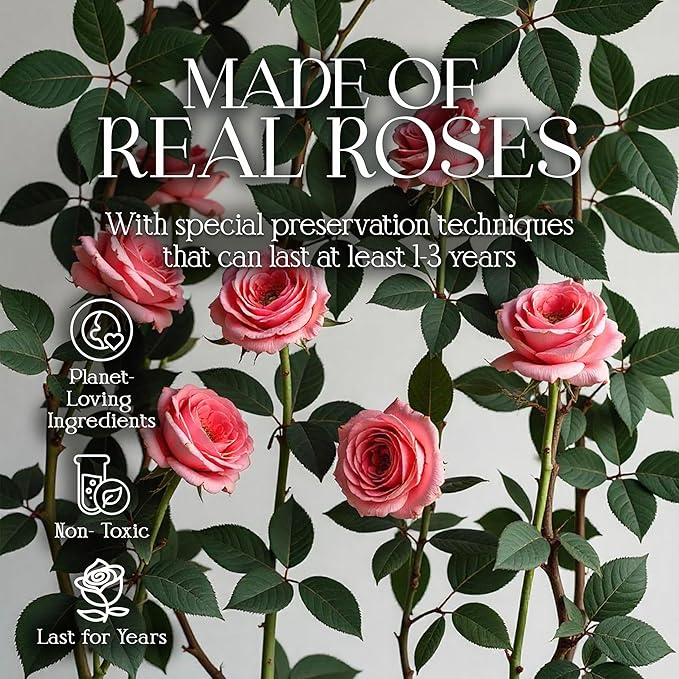 GLAMOUR BOUTIQUE Preserved Roses in a Box - Gifts for Her, Wife & Mom, Rose Flowers Forever Decor for Birthday Gift, Get Well Flower Bouquet Cased in White Box with Cover - Pink - 16-Piece