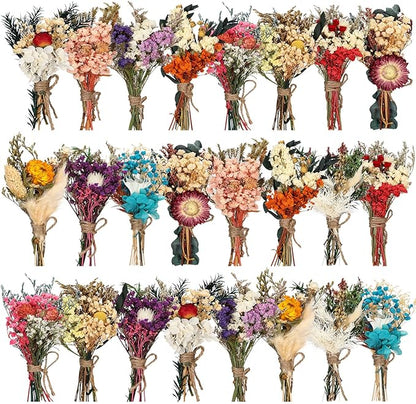 Layhit 24 Pcs Boho Dried Flower Bouquet Mini Wedding Handmade Dry Flowers Decor for Vase Crafts DIY Photo Boutonniere for Men Floral Plant for Bridesmaid Gift Birthday Decor(Colorful)