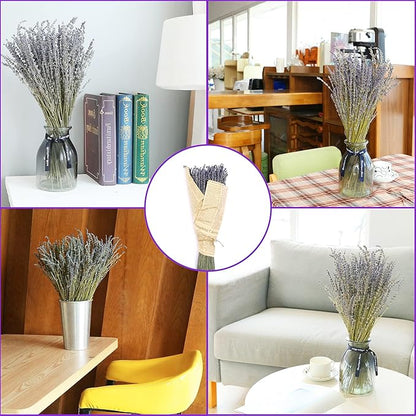 Dried Lavender Flowers Bundles 100% Natural Real Dry Flower for Home Decorations,Home Fragrance 350+ Stems
